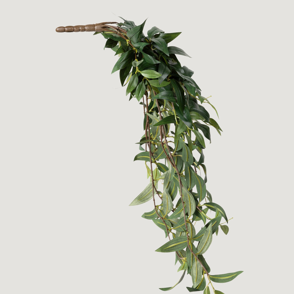 
                      
                        Fake Ruscus Leaf Hanging Plant - 31"
                      
                    