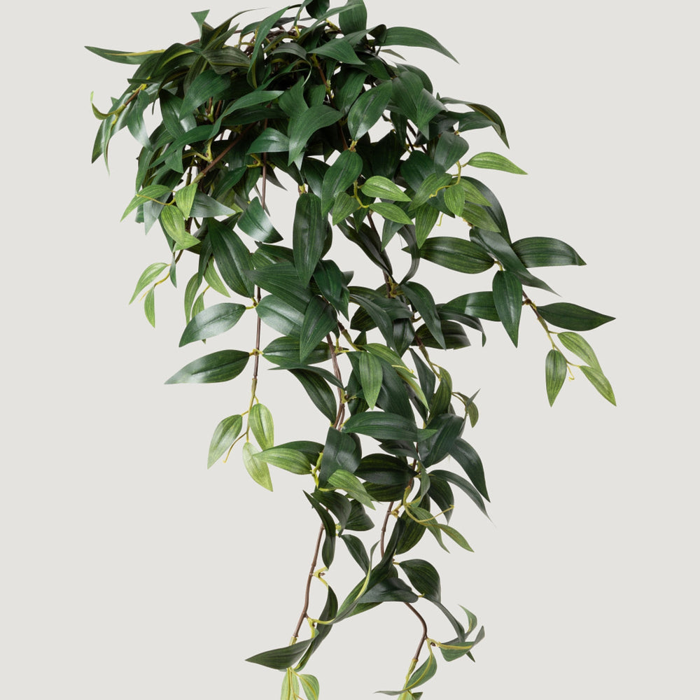 
                      
                        Fake Ruscus Leaf Hanging Plant - 31"
                      
                    