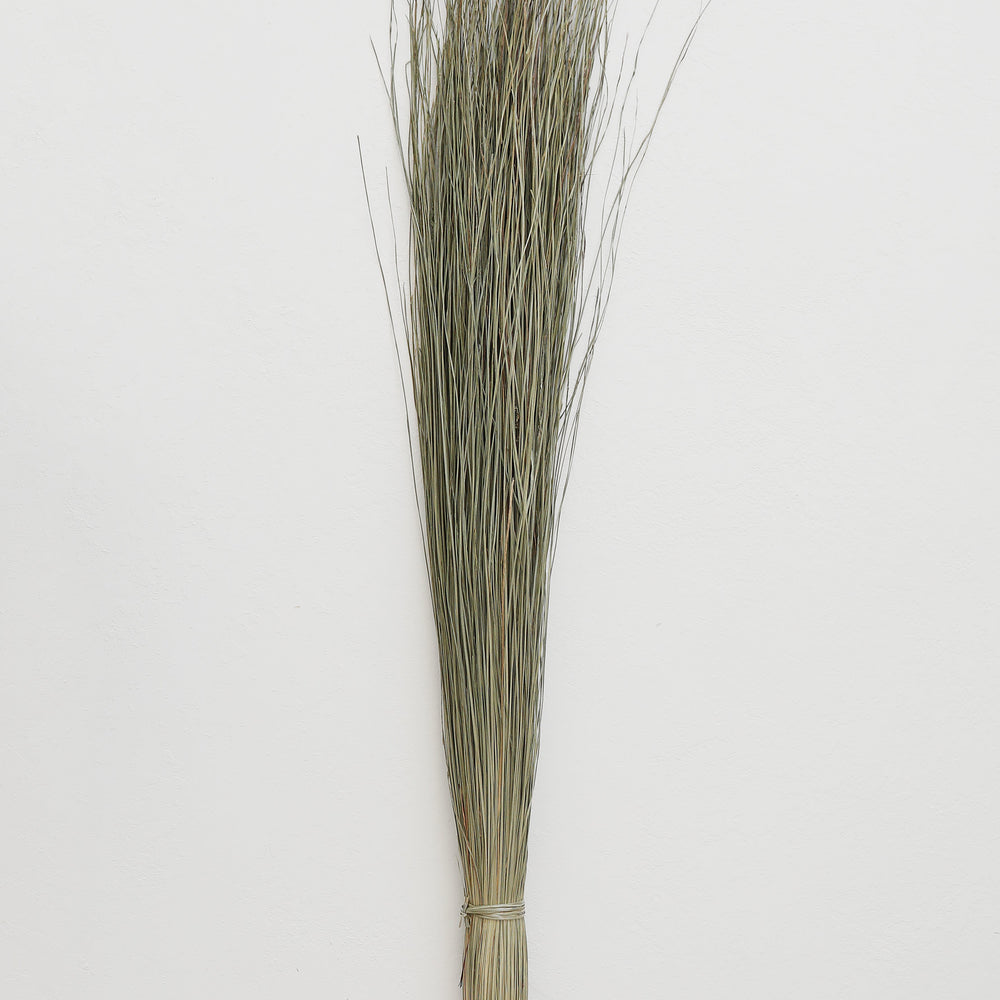
                      
                        Preserved Coastal Dune Grass, 36"
                      
                    