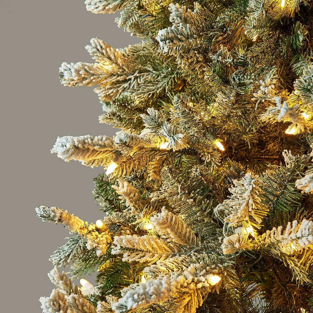 
                      
                        Frosted Pine Christmas Tree with Pre-Lit LED White Lights - 7.5'
                      
                    