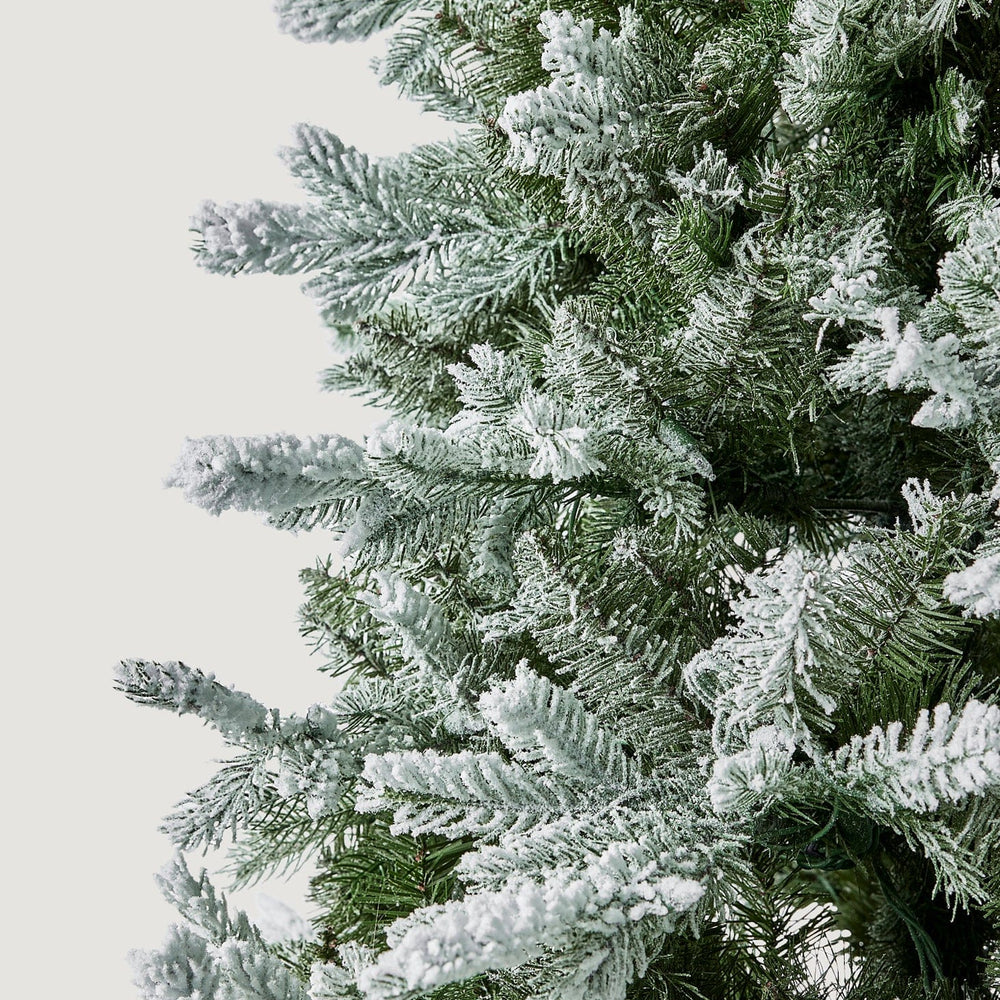 
                      
                        Frosted Pine Christmas Tree with Pre-Lit LED White Lights - 7.5'
                      
                    