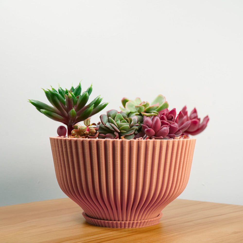 
                      
                        Bonsai Pot with Drainage and Saucer
                      
                    