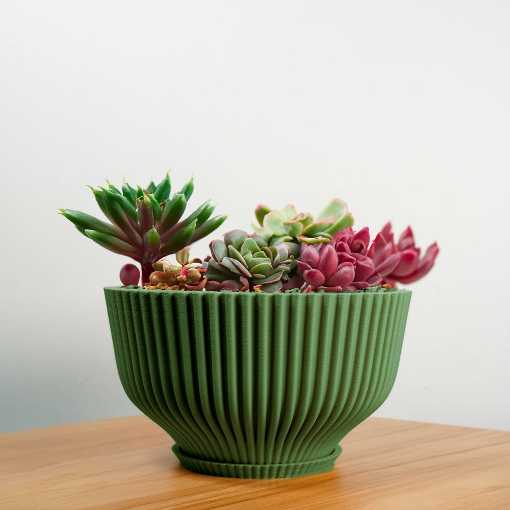 
                      
                        Bonsai Pot with Drainage and Saucer
                      
                    
