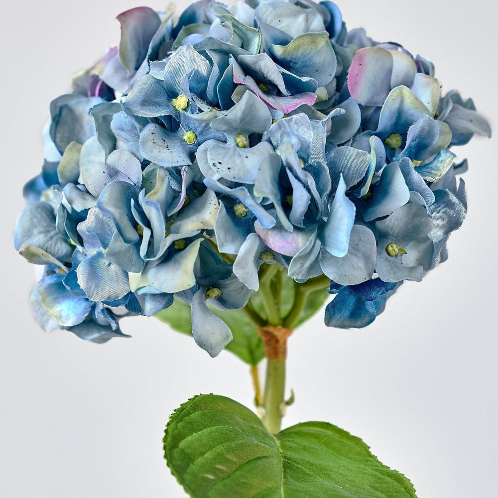 
                      
                        Nantucket Blue Real Touch Hydrangea, 18"
                      
                    