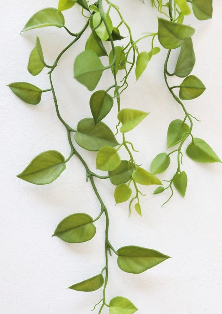 
                      
                        Artificial Plants Hanging Philodendron Bush - 32"
                      
                    