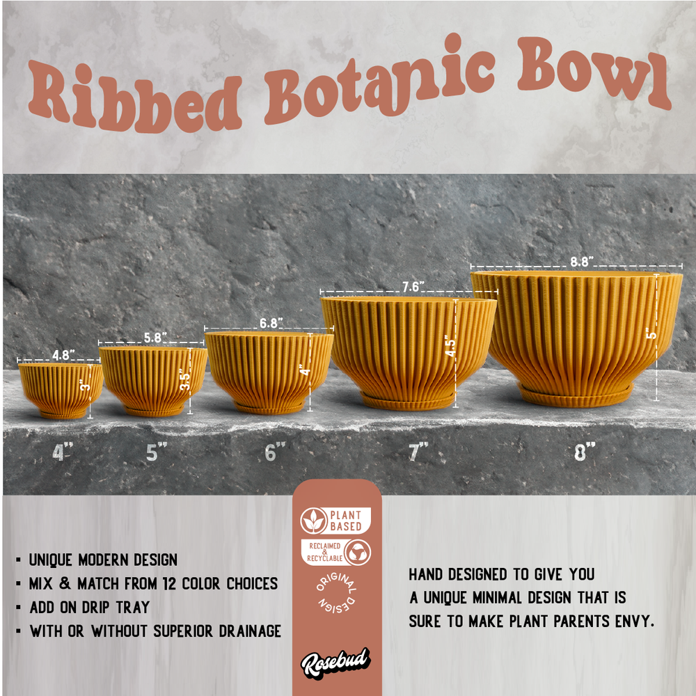 
                      
                        Bonsai Pot with Drainage and Saucer
                      
                    