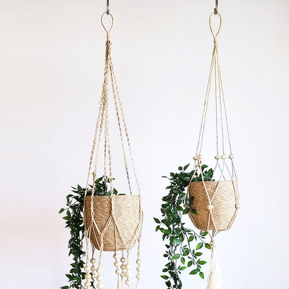 
                      
                        Plant Hanger, Fiora
                      
                    