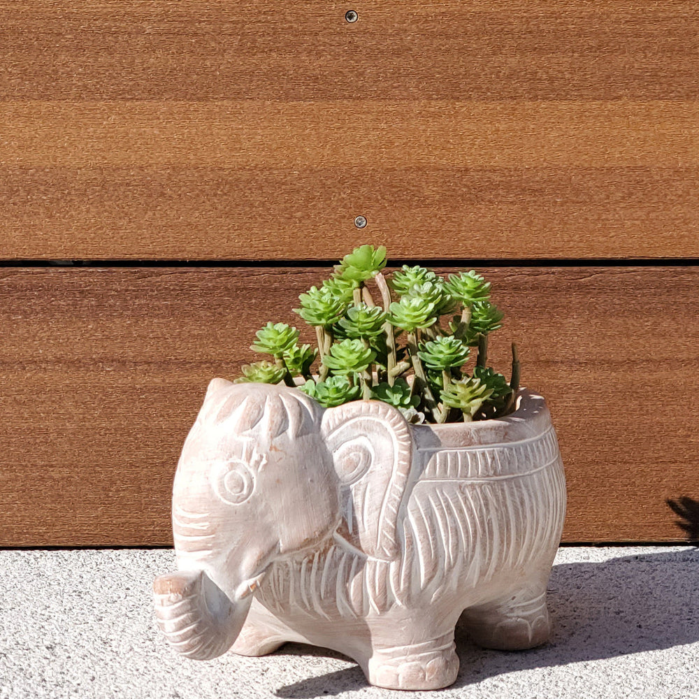
                      
                        Terracotta Pot - Elephant
                      
                    