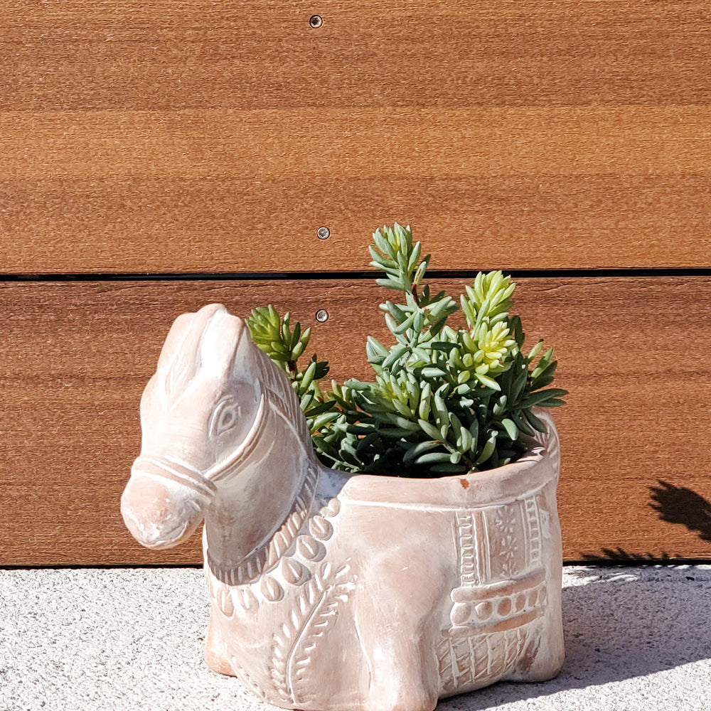 
                      
                        Terracotta Pot - Horse
                      
                    
