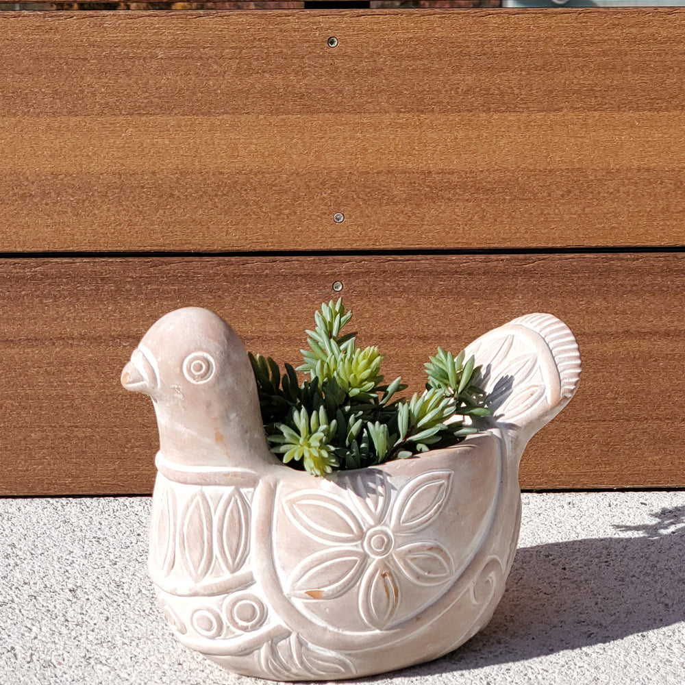 
                      
                        Terracotta Pot - Spotted Dove
                      
                    