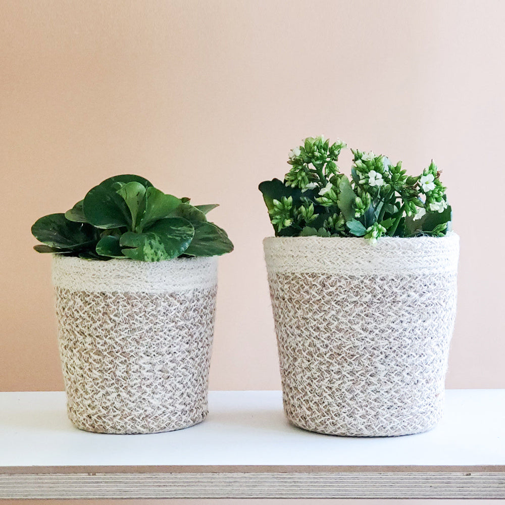 Agora Plant Basket, White