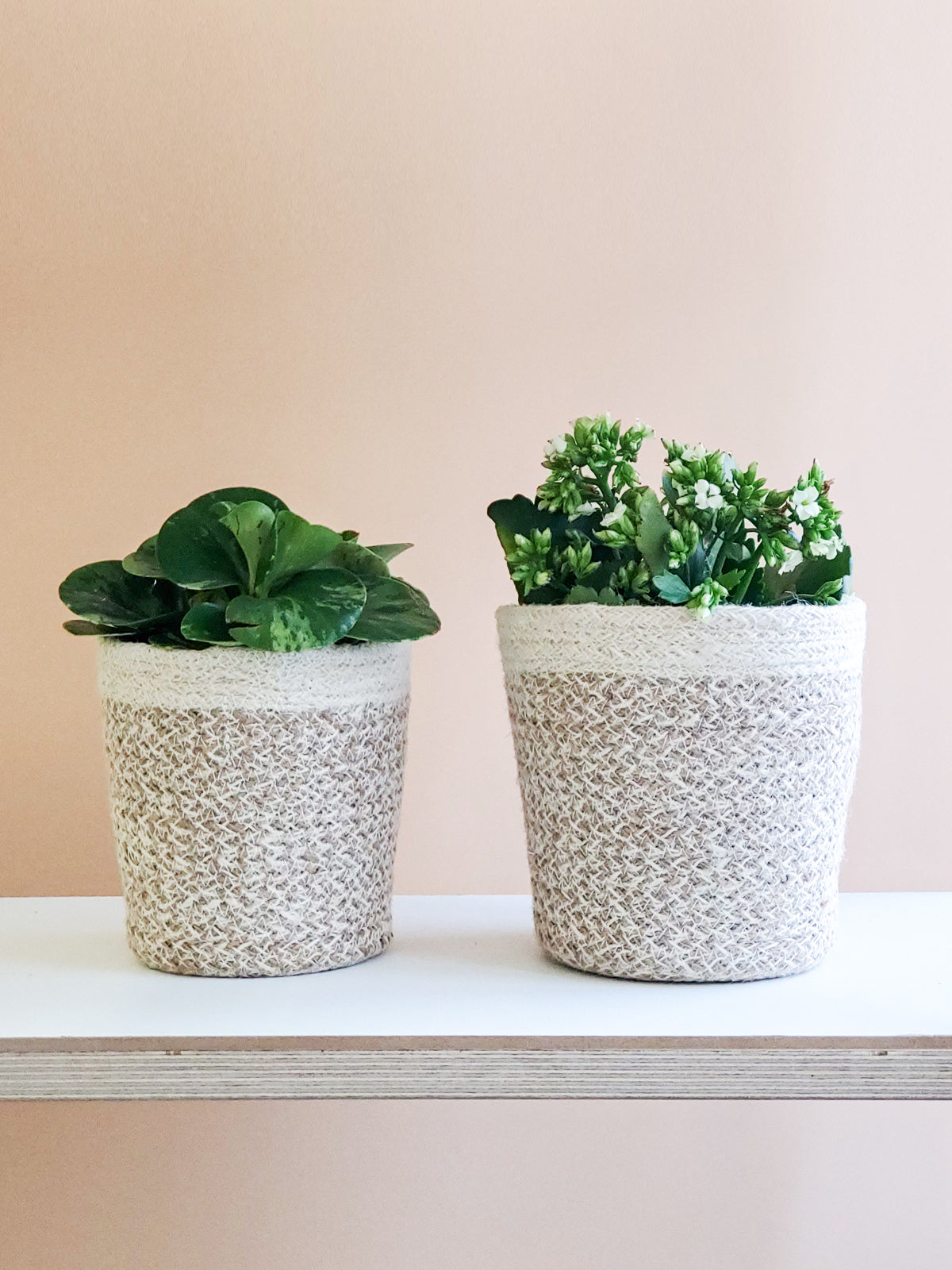 Agora Plant Basket, White