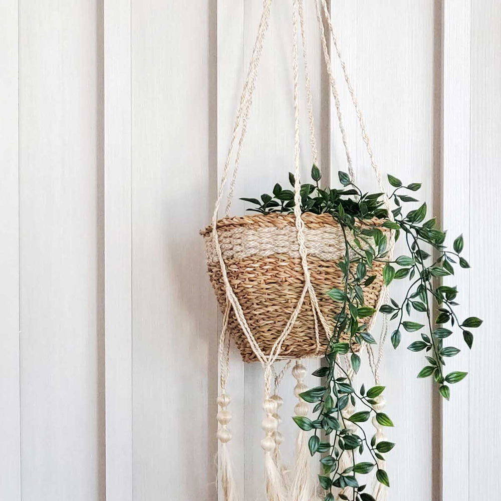 Plant Hanger, Fiora
