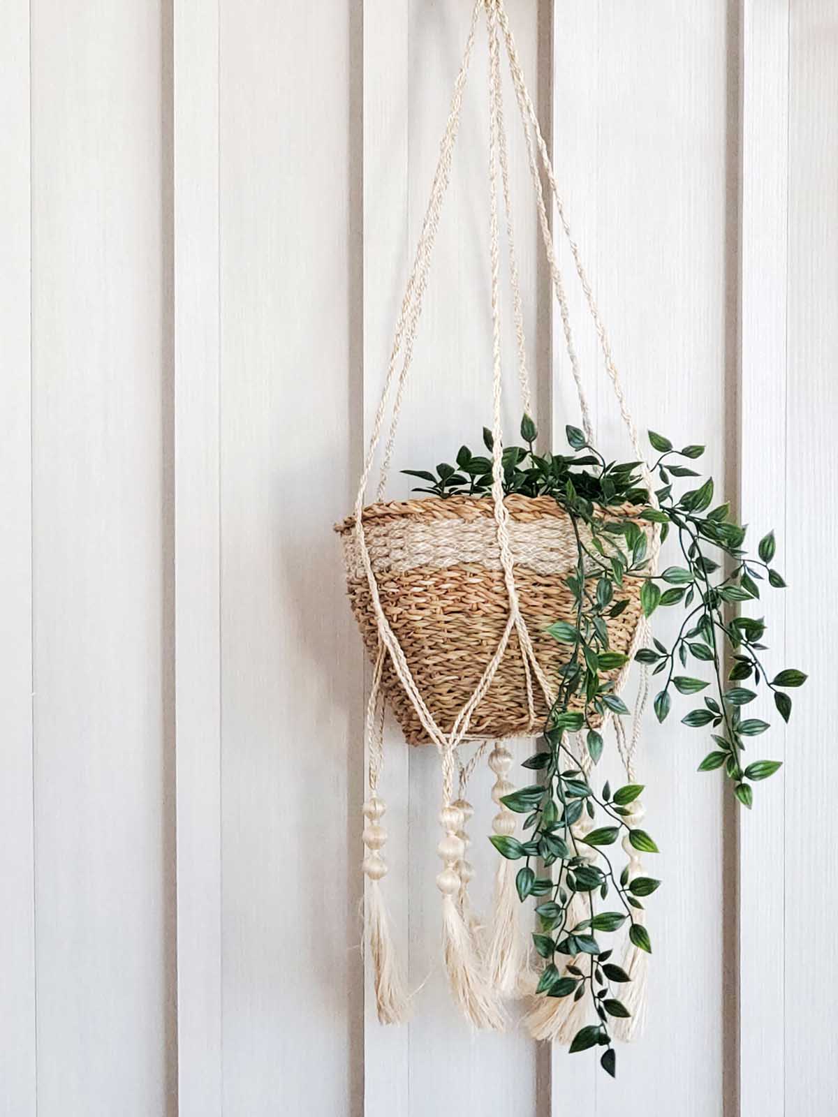 Plant Hanger, Fiora