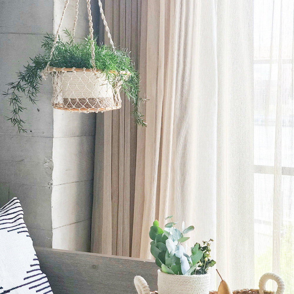 
                      
                        Jhuri Single Hanging Basket
                      
                    