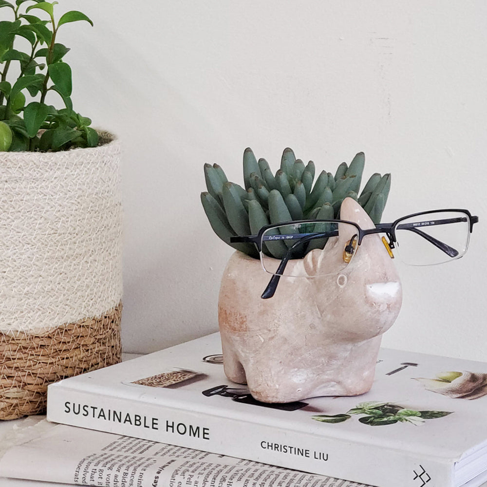 
                      
                        Terracotta Pot - Rhino
                      
                    