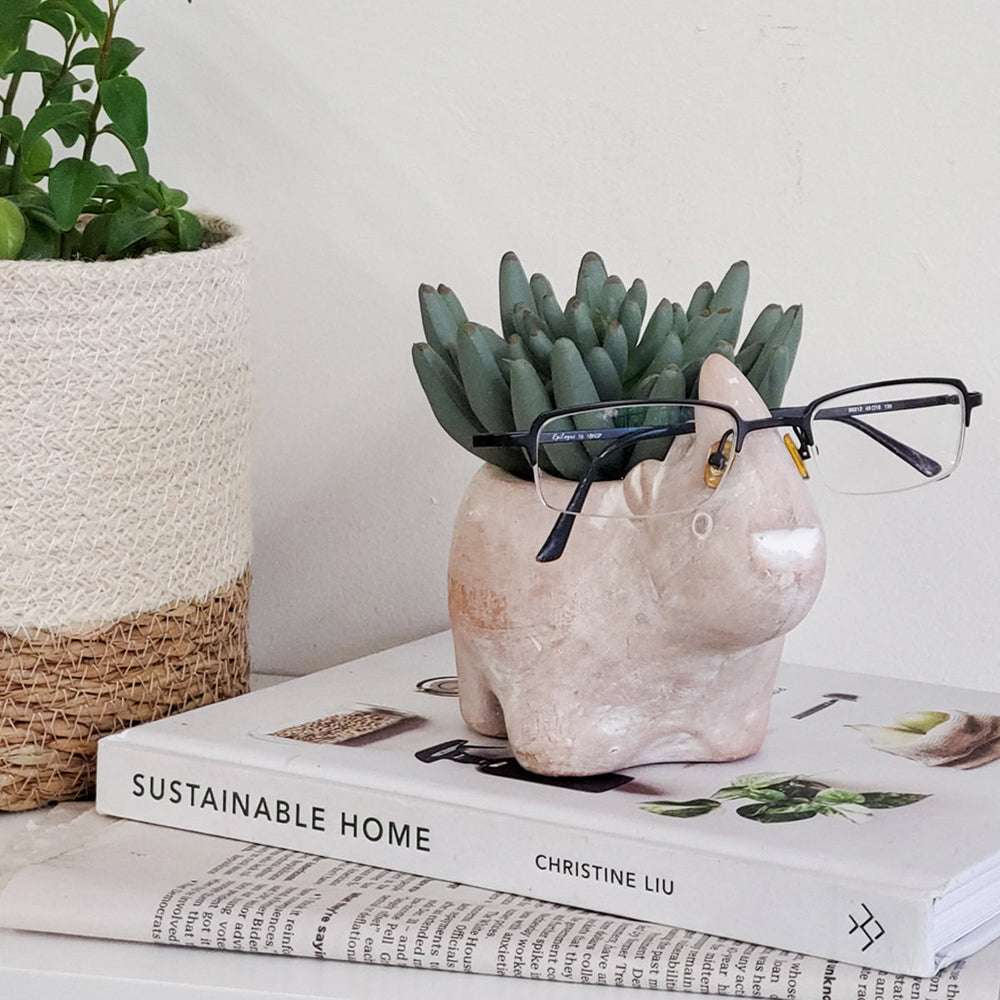 Rhino Terracotta Plant Pot