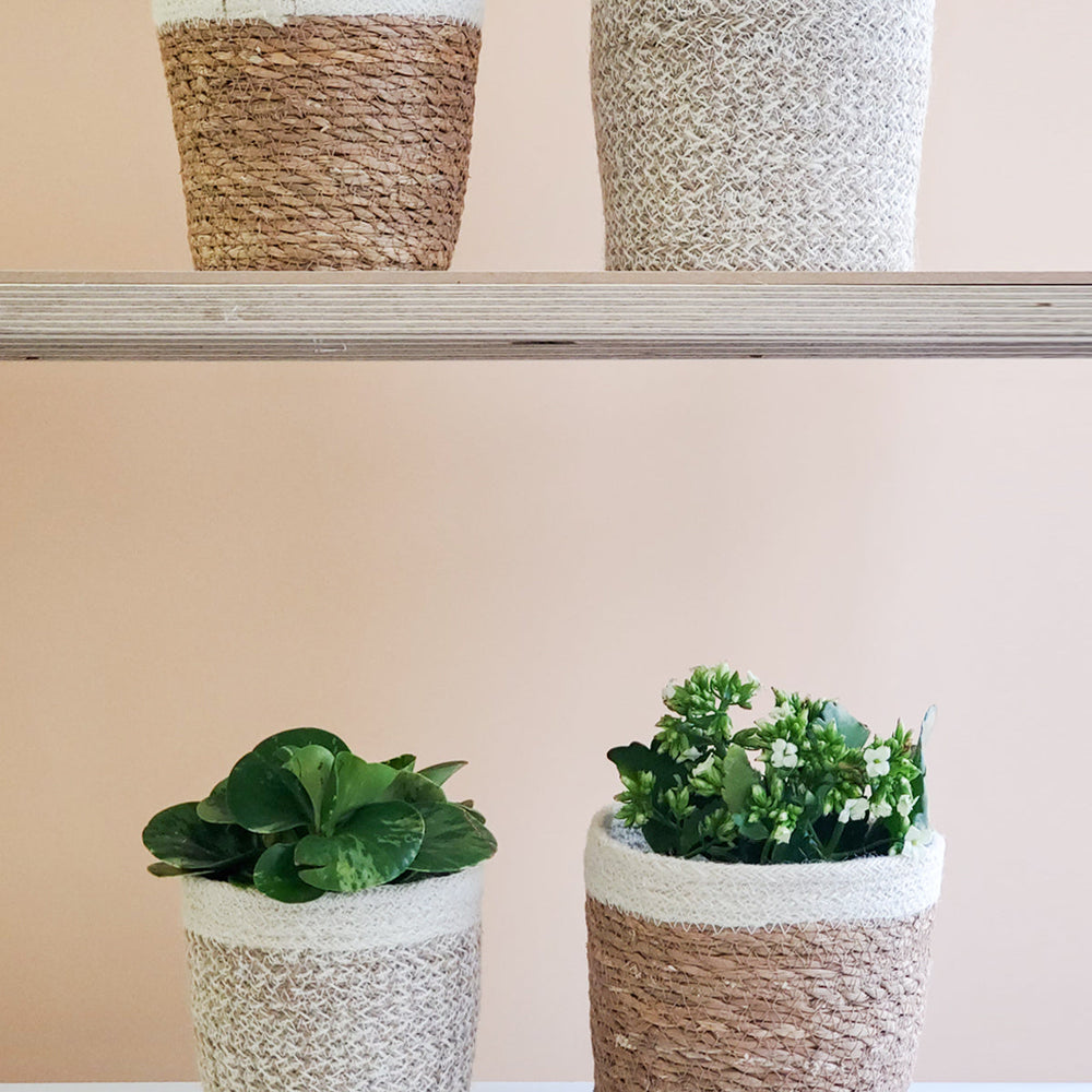 
                      
                        Agora Plant Basket, White
                      
                    