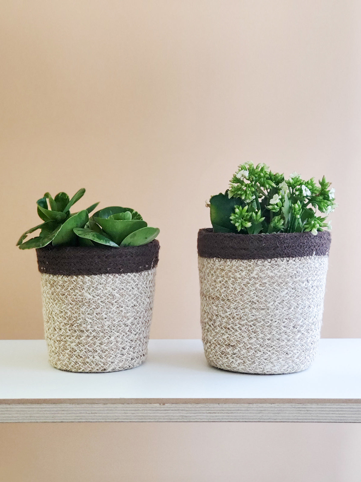 Agora Plant Basket, Brown