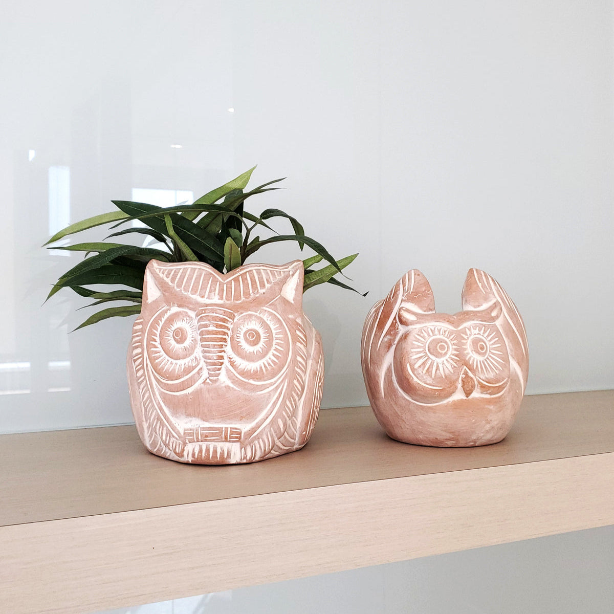 indoor owl planter Terracotta Pot (Horned Owl)