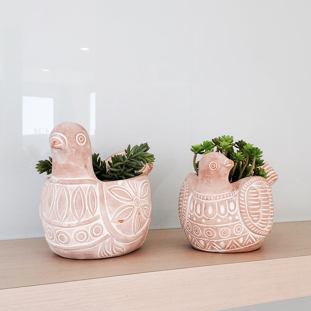 
                      
                        Terracotta Pot - Spotted Dove
                      
                    