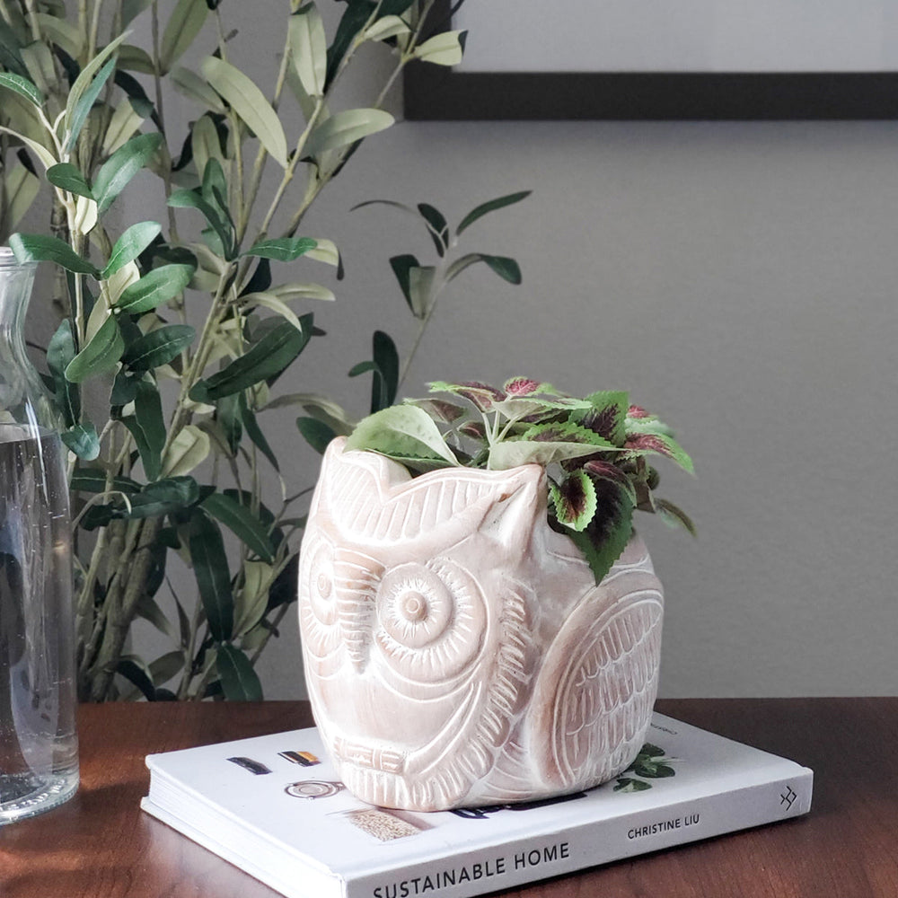 Terracotta Pot - Horned Owl