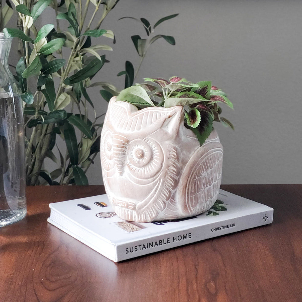 Horned Owl Terracotta Plant Pot