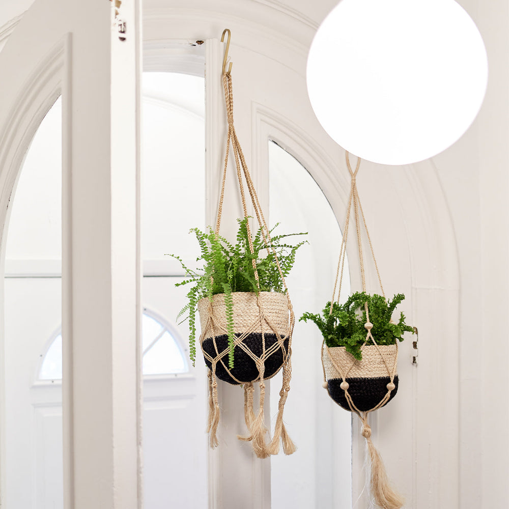 Plant Hanger, Bitan
