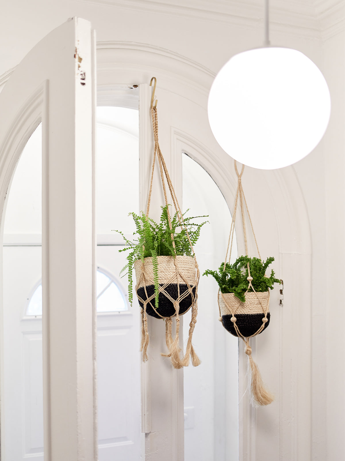 Plant Hanger, Bitan