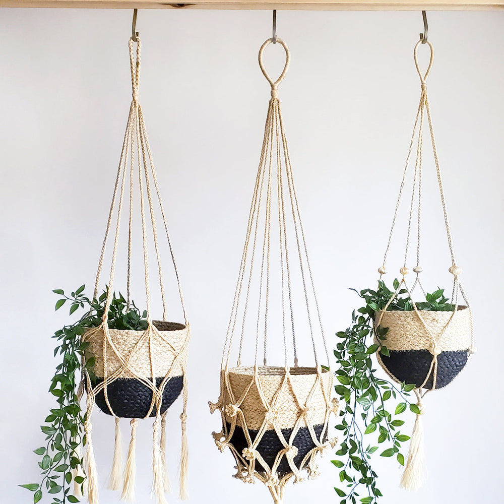 
                      
                        Plant Hanger, Shuly
                      
                    