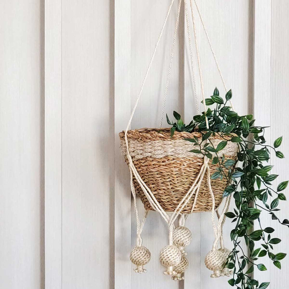 
                      
                        Plant Hanger, Kadam
                      
                    
