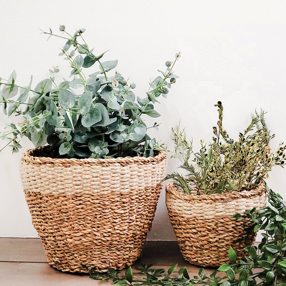 
                      
                        Savar Planter
                      
                    