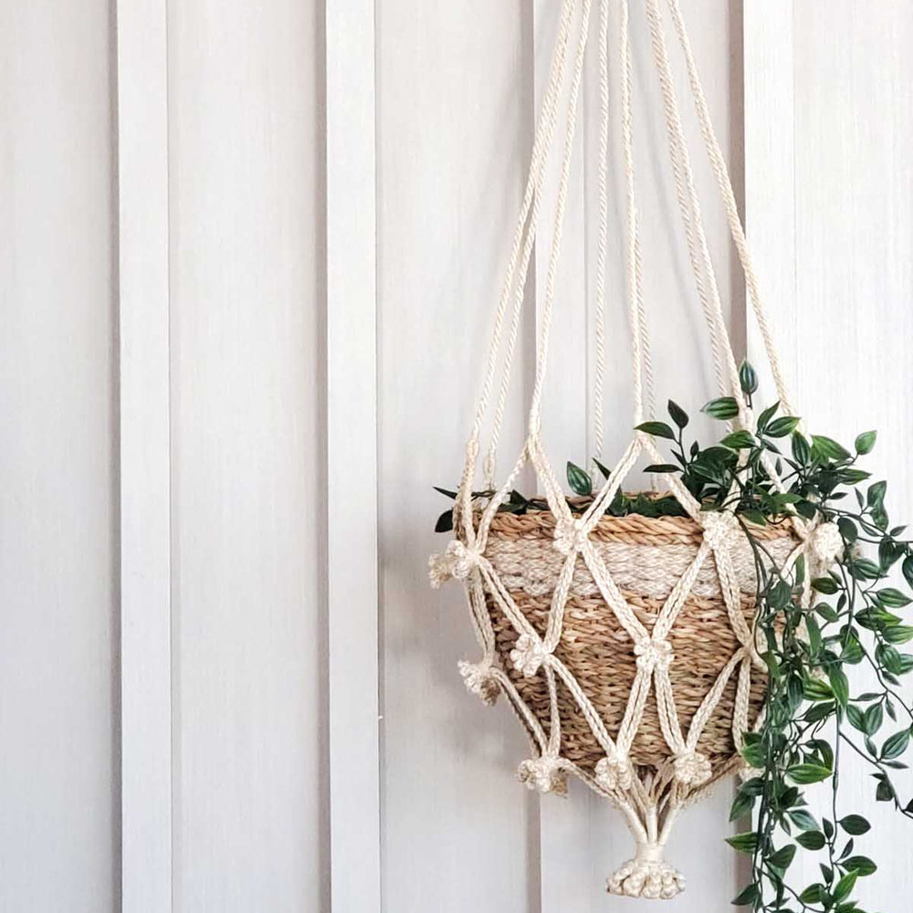 Plant Hanger, Shuly