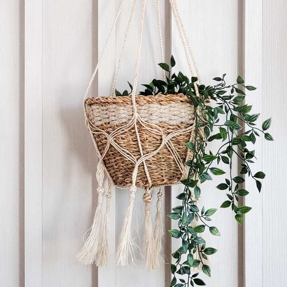 
                      
                        Plant Hanger, Bitan
                      
                    