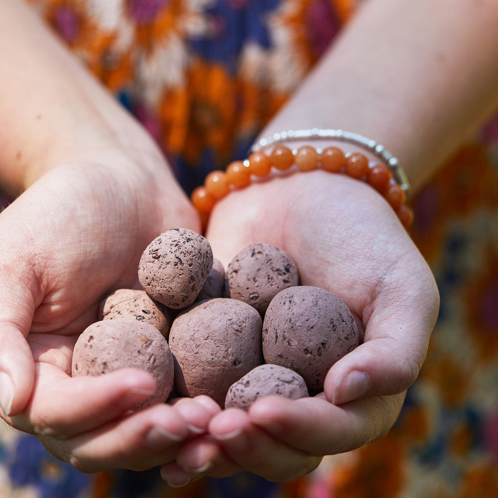 
                      
                        Garden Seed Bomb
                      
                    
