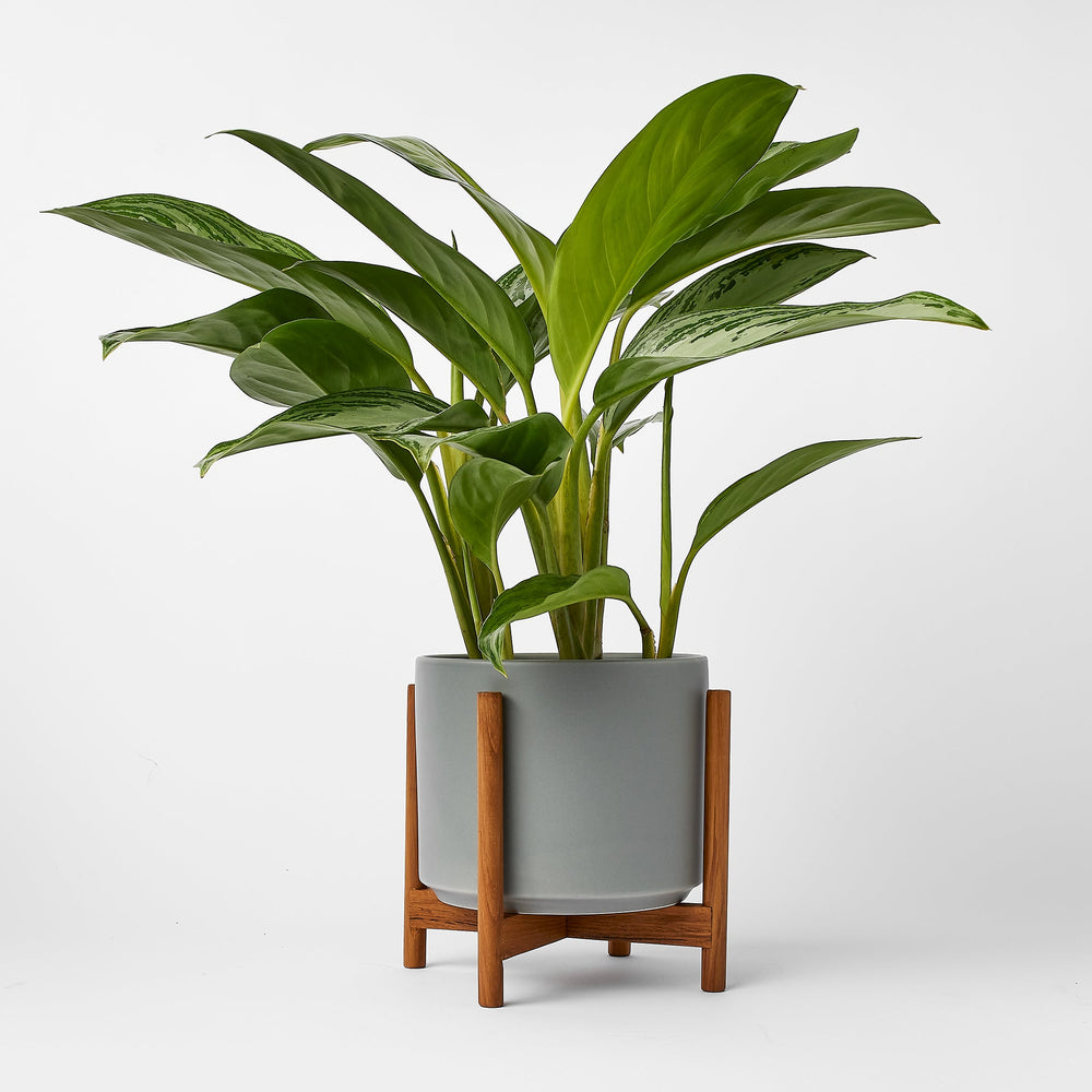 
                      
                        The Six - Ceramic Cylinder with Stand
                      
                    