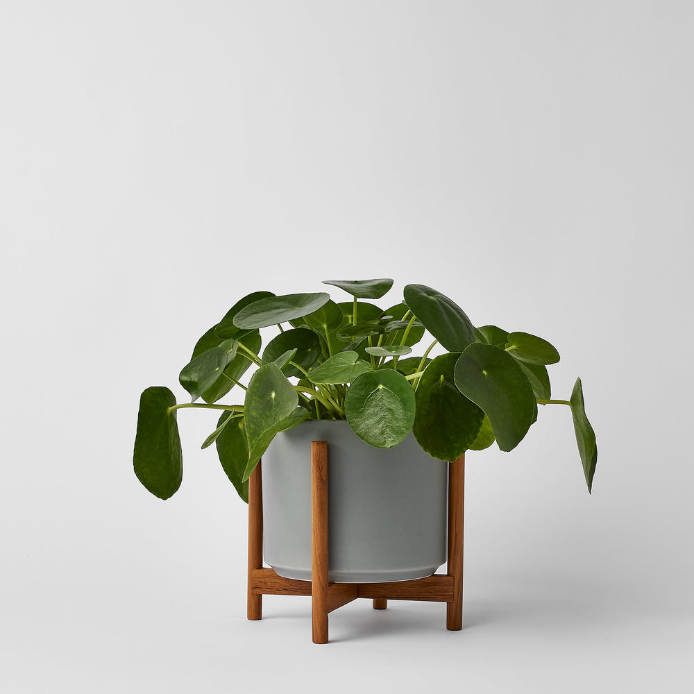 
                      
                        The Six - Ceramic Cylinder with Stand
                      
                    