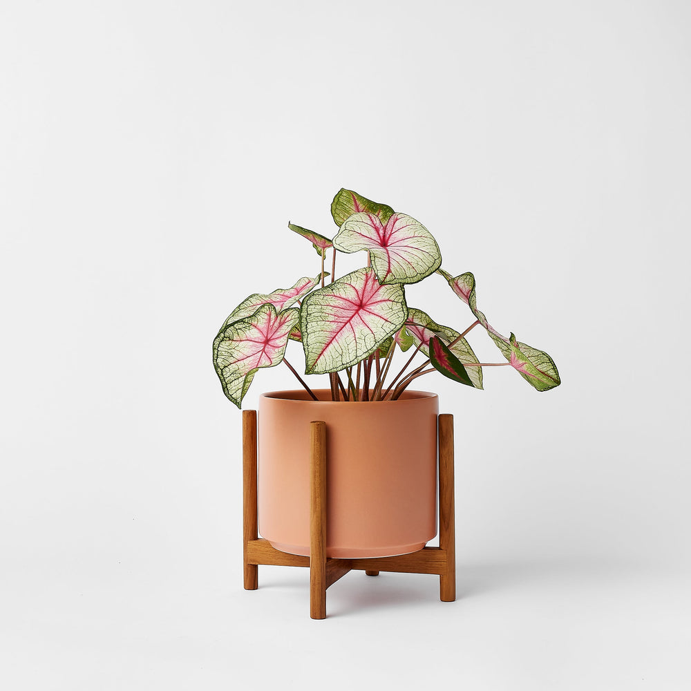 
                      
                        The Six - Ceramic Cylinder with Stand
                      
                    