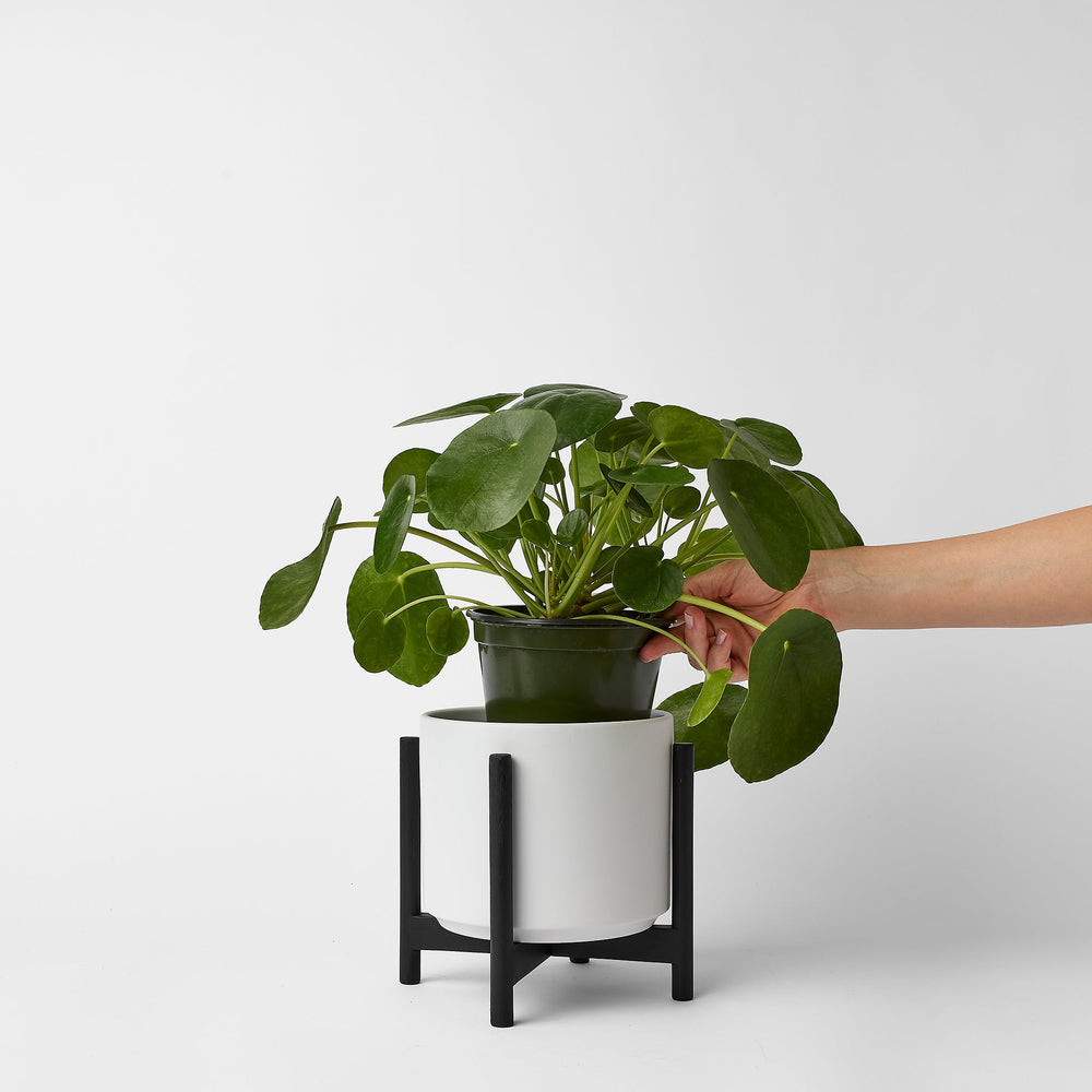 
                      
                        The Six - Ceramic Cylinder with Stand
                      
                    