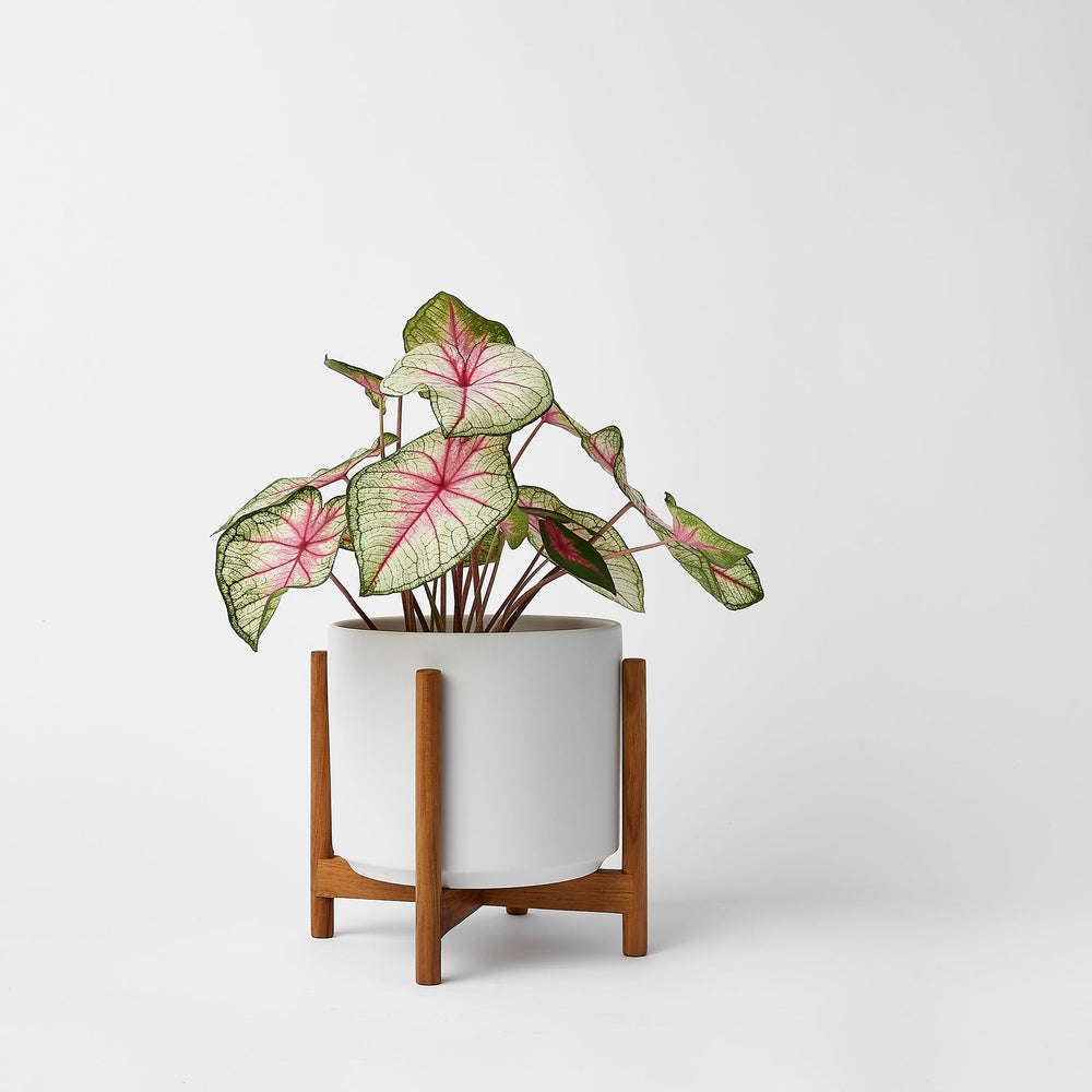 
                      
                        The Six - Ceramic Cylinder with Stand
                      
                    