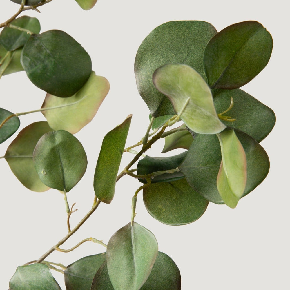 
                      
                        Faux Silver Dollar Eucalyptus Branch - 39"
                      
                    