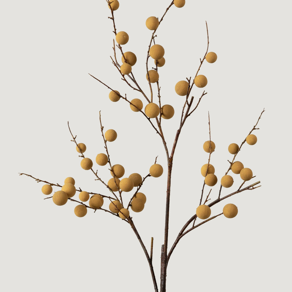 
                      
                        Faux Tropical Longan Fruit Branch - 39"
                      
                    