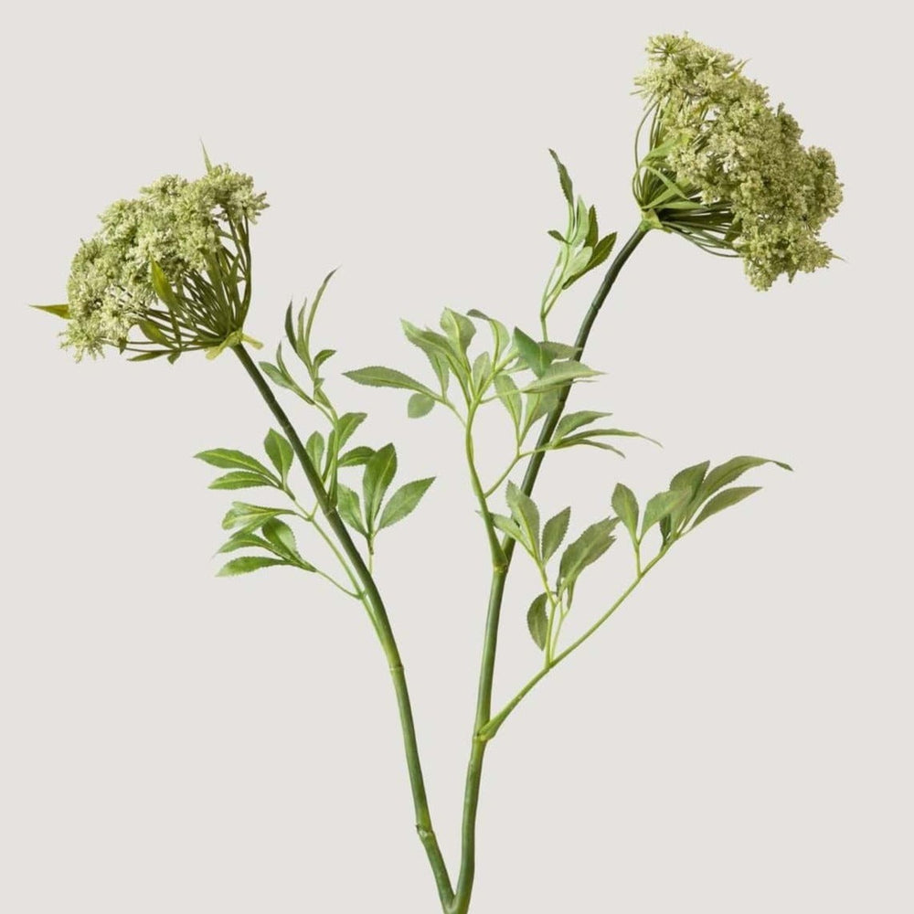 Faux Queen Anne's Lace Wildflowers - 36"