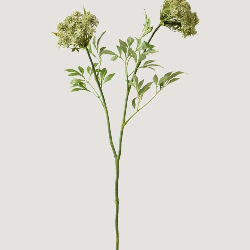
                      
                        Faux Queen Anne's Lace Wildflowers - 36"
                      
                    