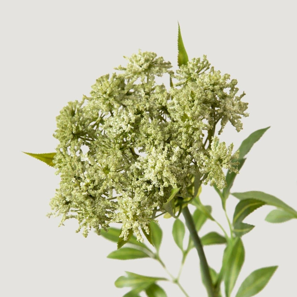 
                      
                        Faux Queen Anne's Lace Wildflowers - 36"
                      
                    