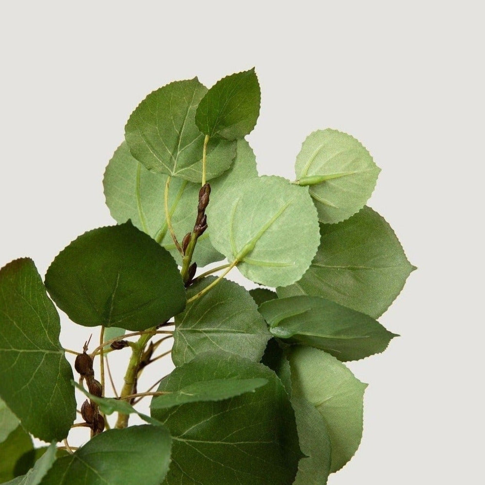 
                      
                        Tall Luxe Artificial Aspen Branch, 51"
                      
                    