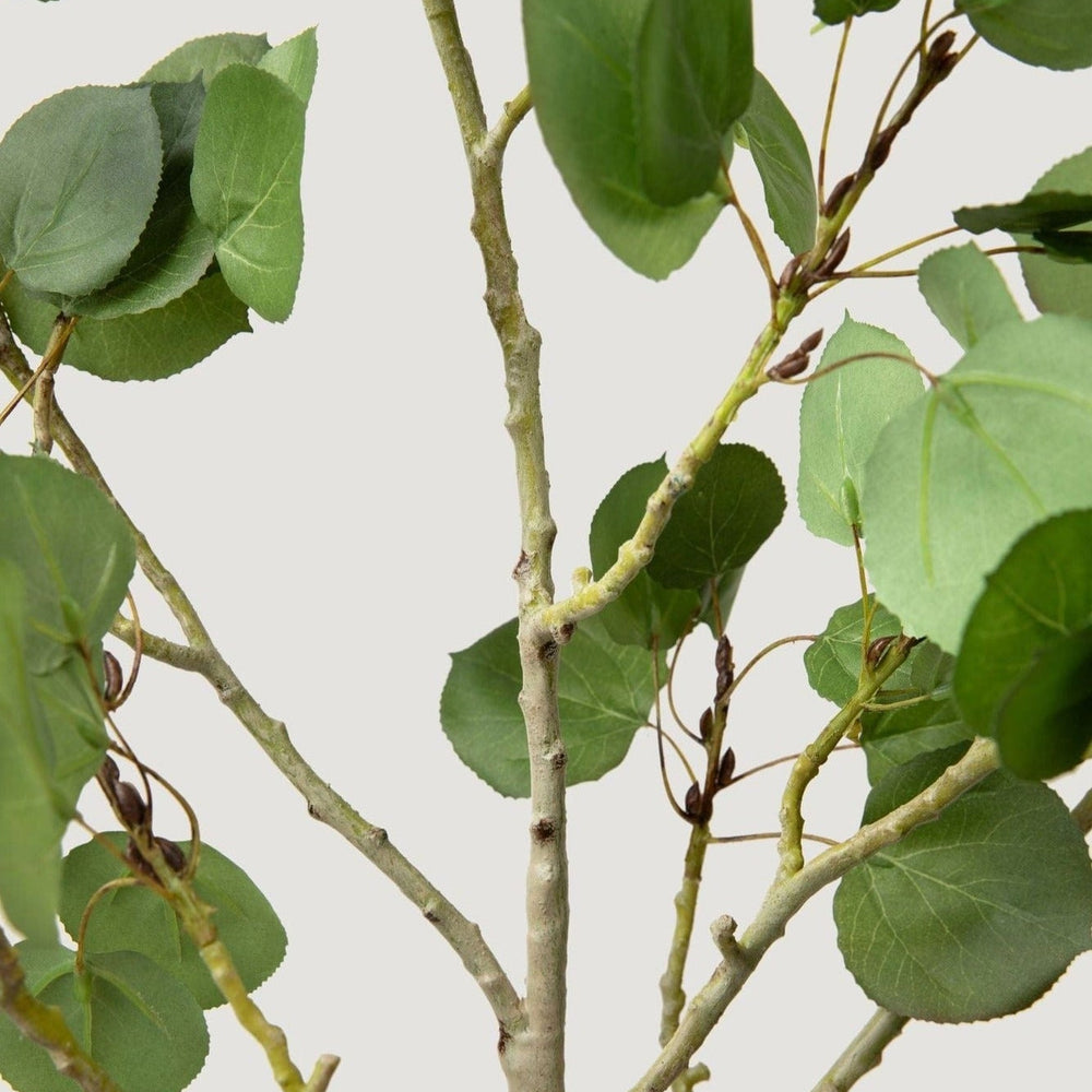 
                      
                        Tall Luxe Artificial Aspen Branch, 51"
                      
                    