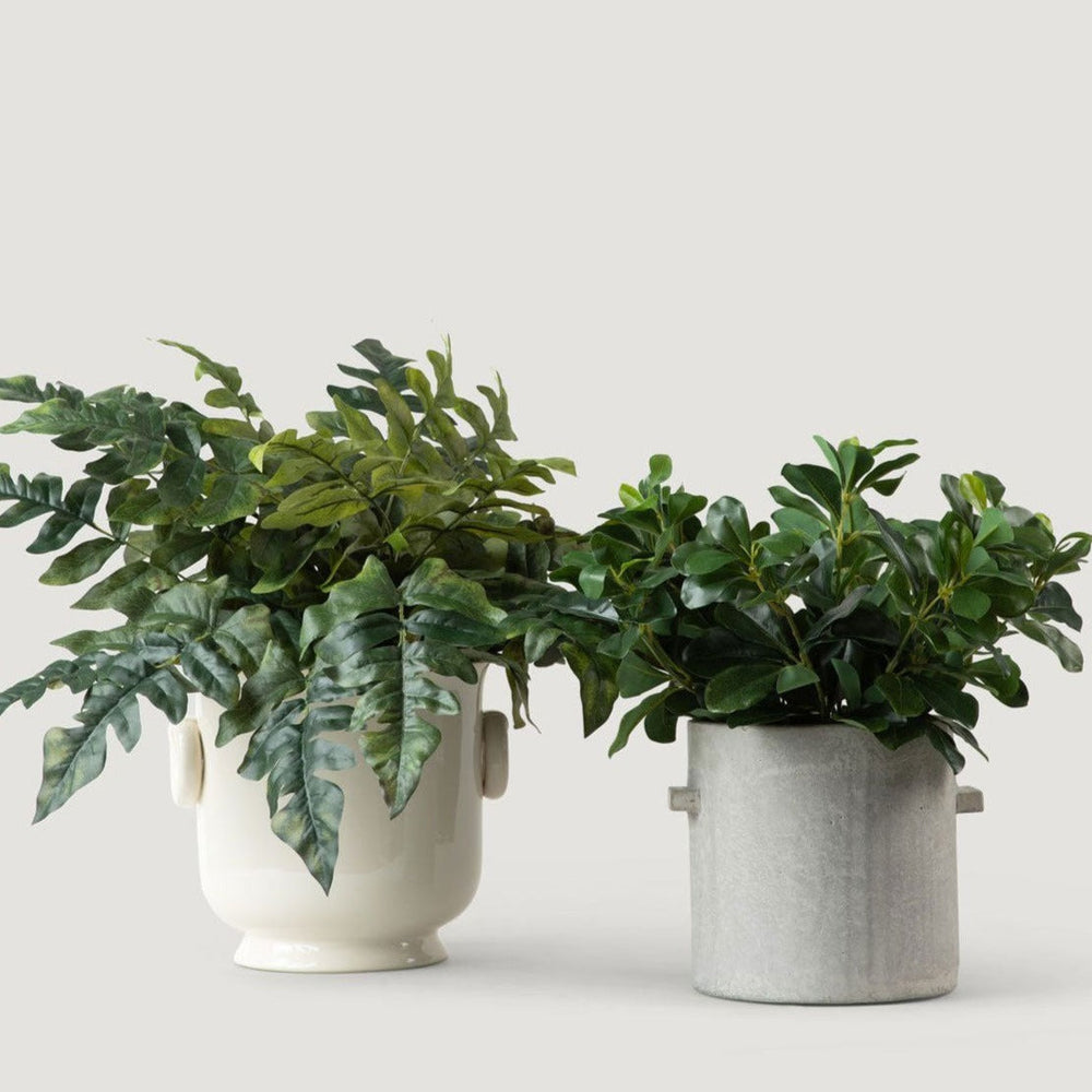 
                      
                        Natural Touch Artificial Wax Privet Leaf Plant, 15"
                      
                    