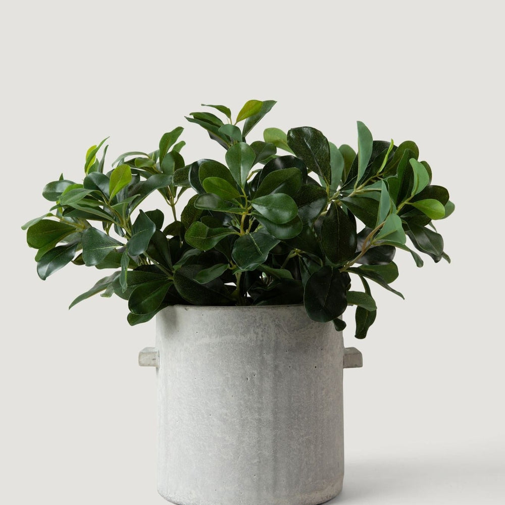 Natural Touch Artificial Wax Privet Leaf Plant, 15"