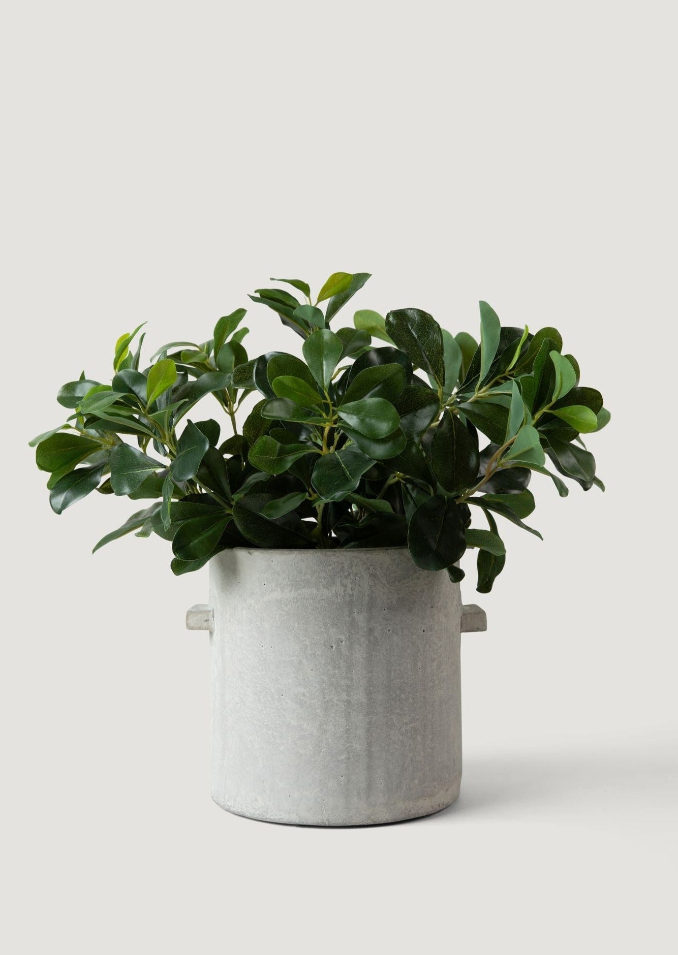 Natural Touch Artificial Wax Privet Leaf Plant, 15"